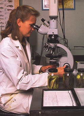 Cinsel yolla bulaşan hastalıklar, hepatit, Klamidya, aids, Hiv, Genital siğil, herpes